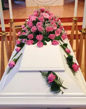 Rosa rosor