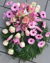 Rosa krans